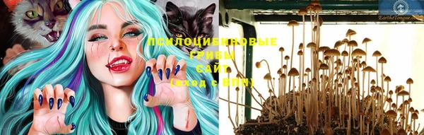 прущий лед Балахна