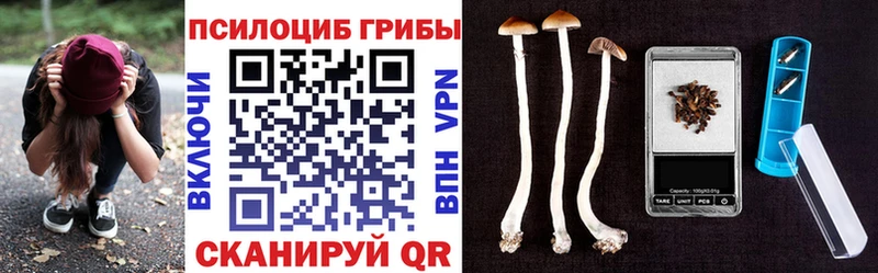 Галлюциногенные грибы мухоморы  Вольск 